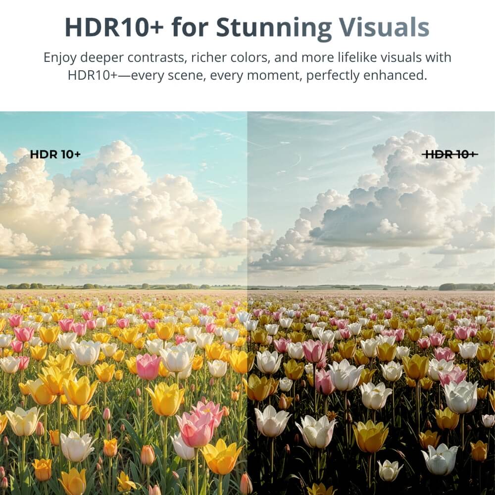 Digital comparison image of a tulip field demonstrating HDR10+ with a vibrant left side showing bright yellow, pink, and white tulips under a clear blue sky and a duller right side featuring muted colors and darker, less defined clouds